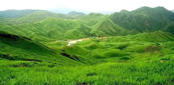 男同动画 《鸣鸟不飞》：黑道背景