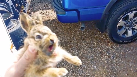 春野樱 优点：理论基础扎实