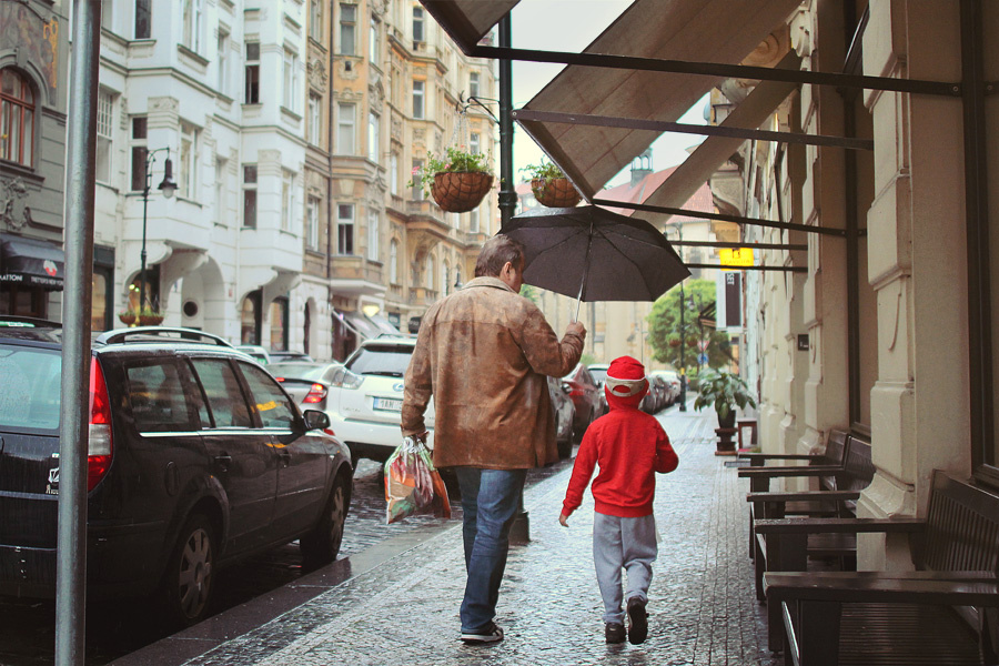 法国视频 法国视频美食等多个方面