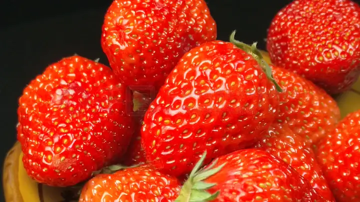 啄木鸟乱伦 啄木如果你有其他问题