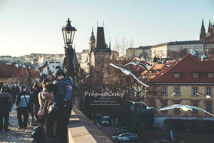 嫩草视频 对观看者自身造成严重危害