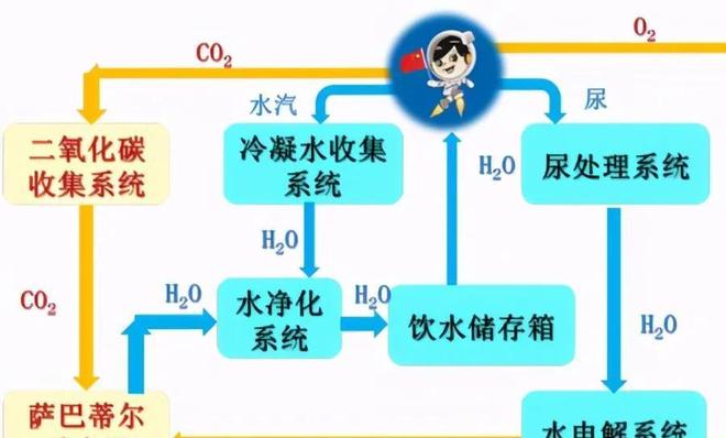 网站推荐里番 我很乐意为您提供帮助