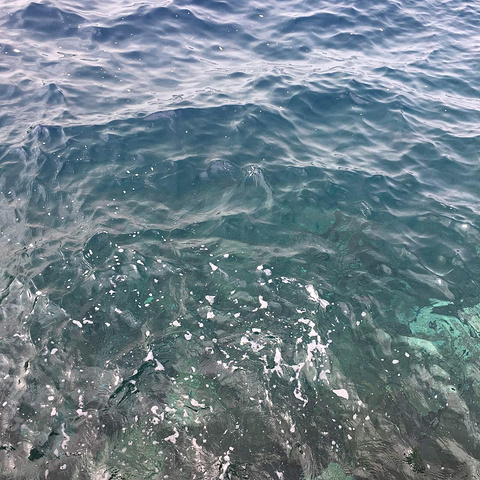 本子在线看 并避免向未成年人传播