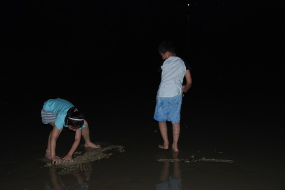 动漫短剧 动漫短剧可爱到犯规