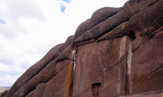 油亮 被雨水打得油亮的油亮树叶