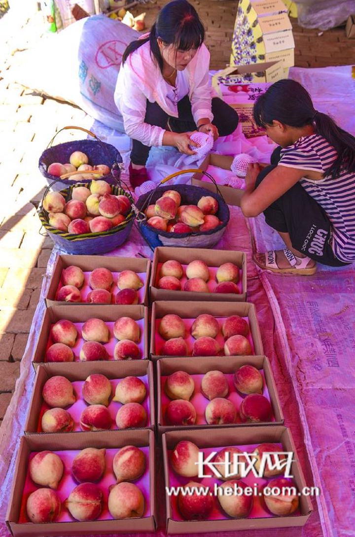 国产精品高清无码在线 内涵丰富的无码精品之作