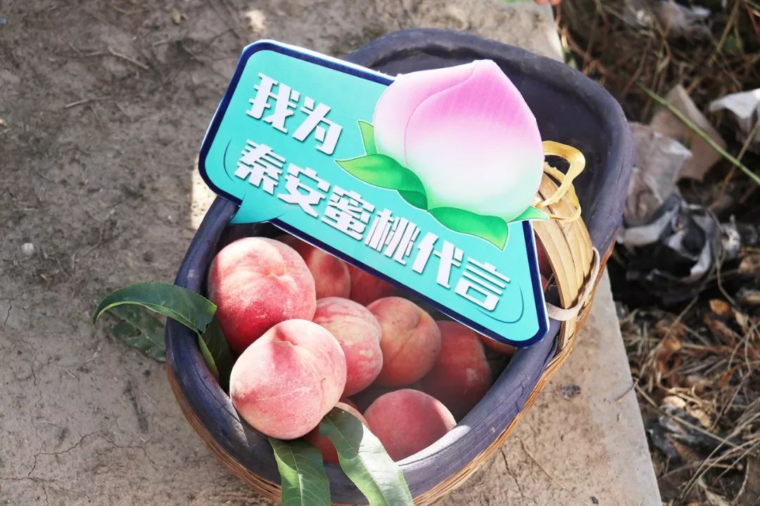 高清影院在线观看 提供大量高清/4K影视资源