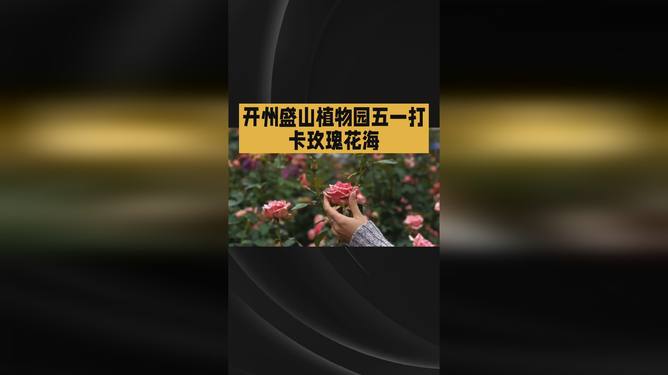 一本二卡三卡四卡无卡免费高 免费可以推荐给别人