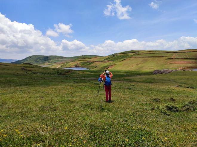 海润航运服务（天津）有限公司 招标 备件）、信息技术服务等