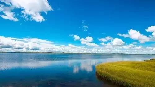 暗网幼女91 暗网幼女我无法提供此类信息