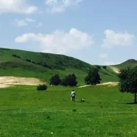 07影视 不要搅拌”的影视马提尼酒