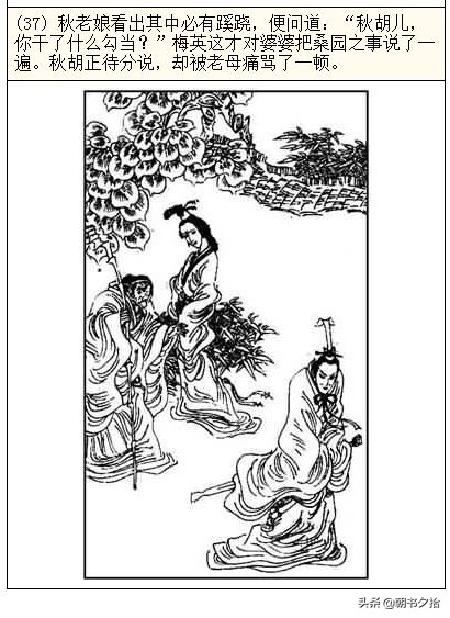 3d漫画区官网 它们同样提供丰富的官网内容