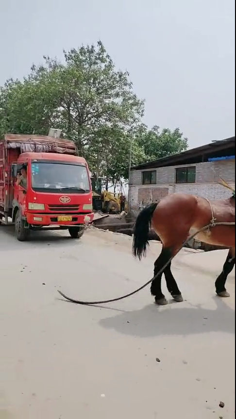 爱情岛线路一 我很乐意为你提供帮助