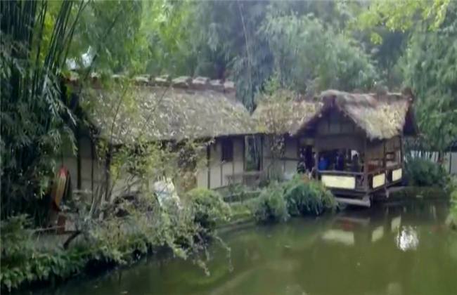 里番日漫在线观看 积极向上的日漫娱乐方式