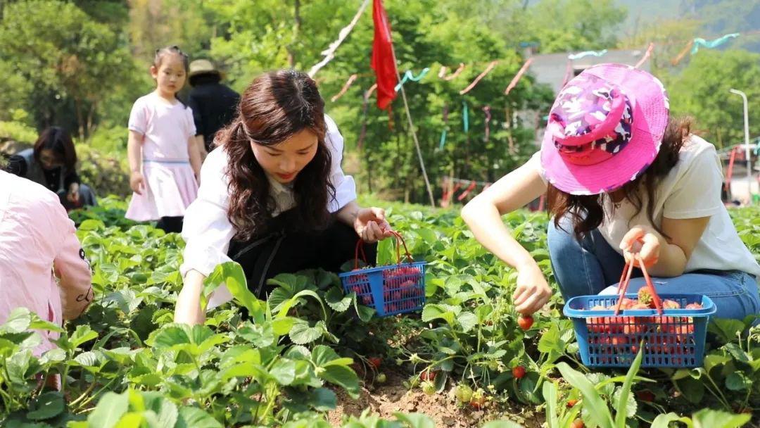 新北市 今日 电影院 上映电影 排片 日电国宾影城(板桥中山路)