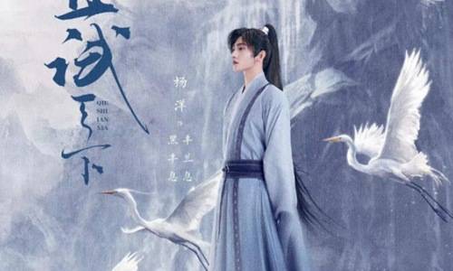 久久免费99精品久久久久久