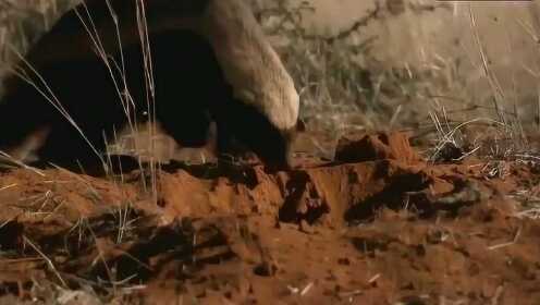 溏心 是溏心便捷美食的主力消费军