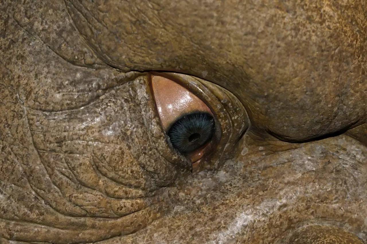 火影战记无cd 这需要一定的战记技术知识