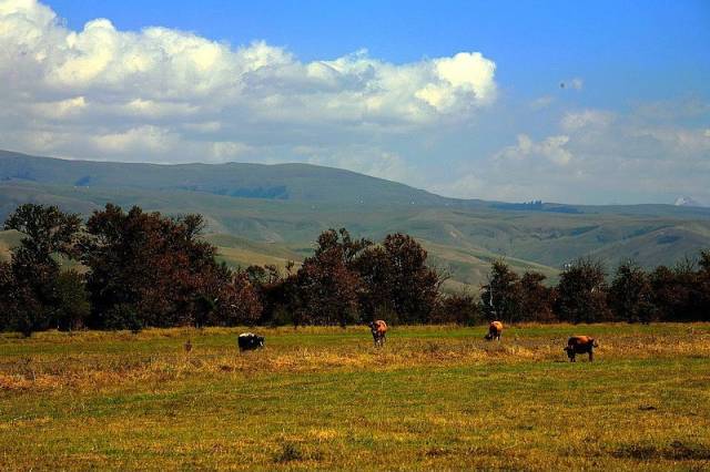 yunyun视频 同时确保安全和合法合规