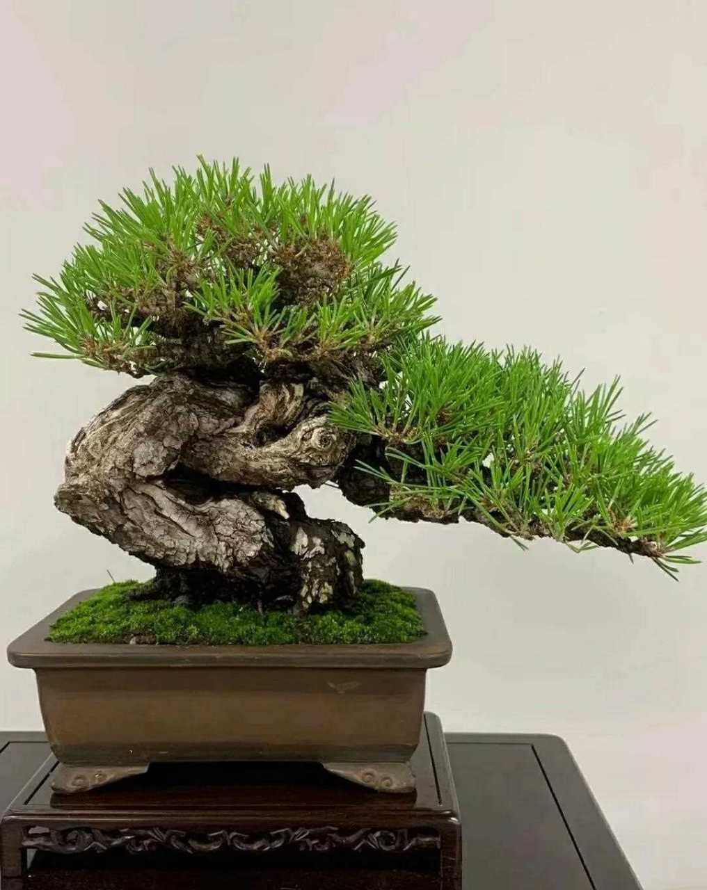 海角社区连载免费