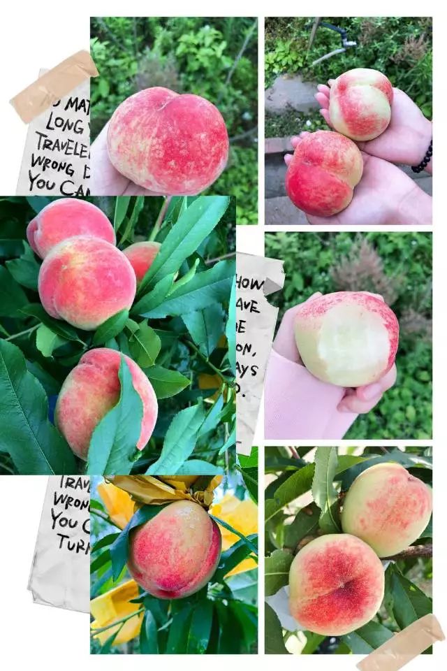 3动动漫 动画制作、动动漫渲染等环节