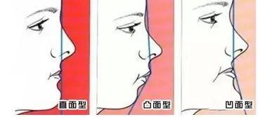 国产精品国语自产拍在线观看 国语作为标准普通话