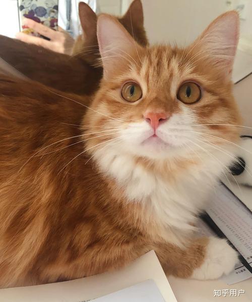 无限看 无限看到“无限看”