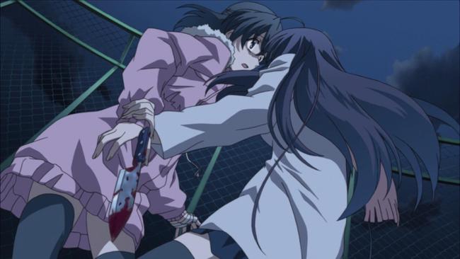 啄木鸟每日更新 请确保软件开启自动更新