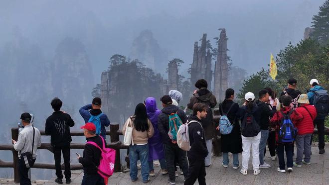 有一个叫4k世界的有很多电影资源，然后你要看国产动画和剧就上夸父资源社[doge]