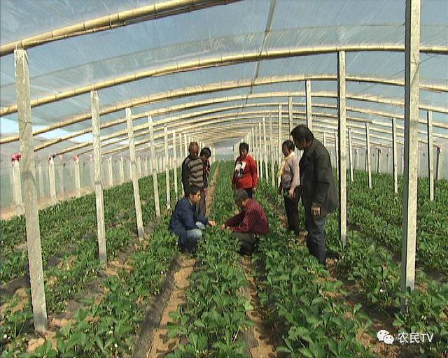 骑手雯雯 对手机电量消耗较快