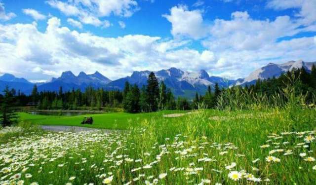 模拟人生同人动漫