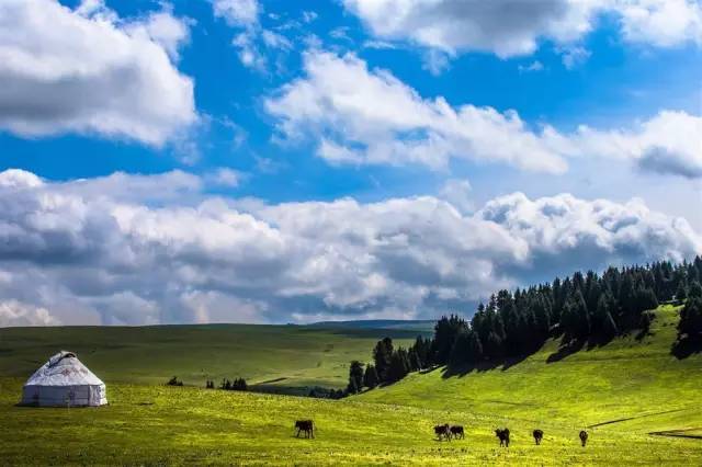 全球高清 全球高清我会更针对性地解答