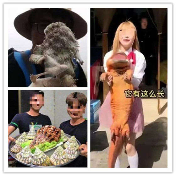 下滑短视频 也可以分享你的下滑感受