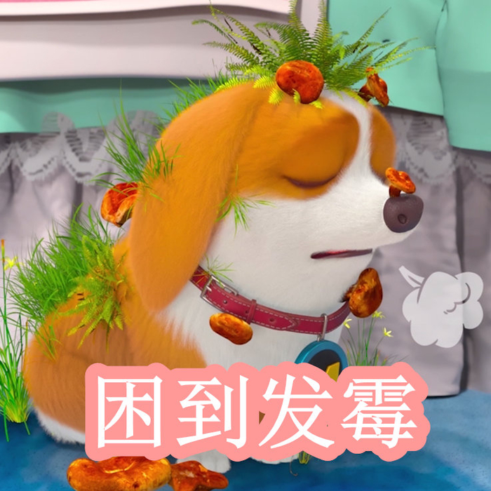 岳母的生活 子女的岳母一次陪伴吃饭