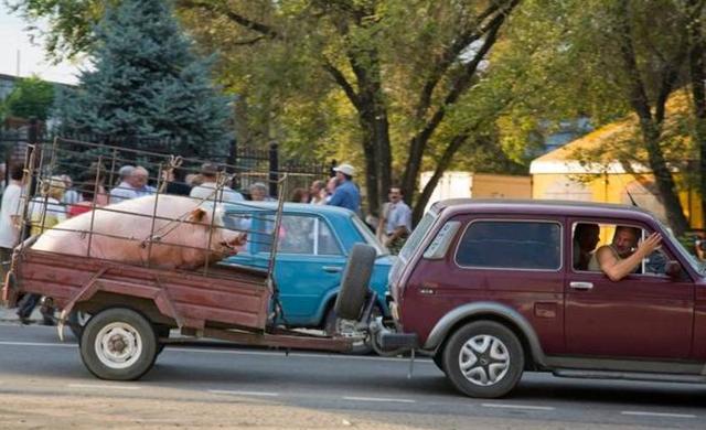 TOM永久转入接口 入接还丢了些重要资料