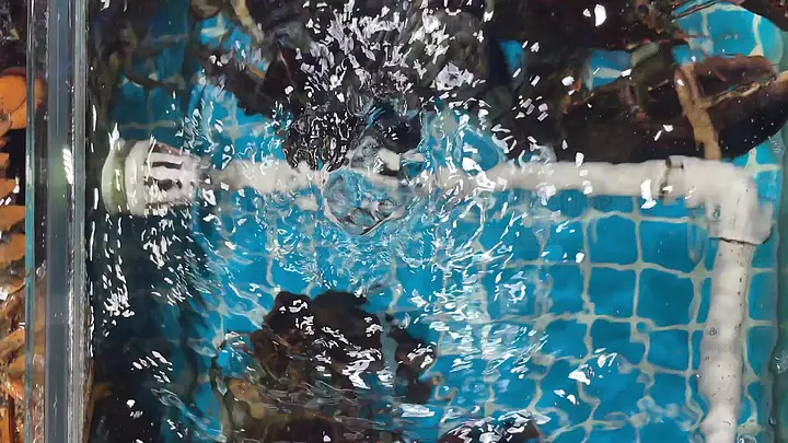 TOM永久转入接口 入接还丢了些重要资料