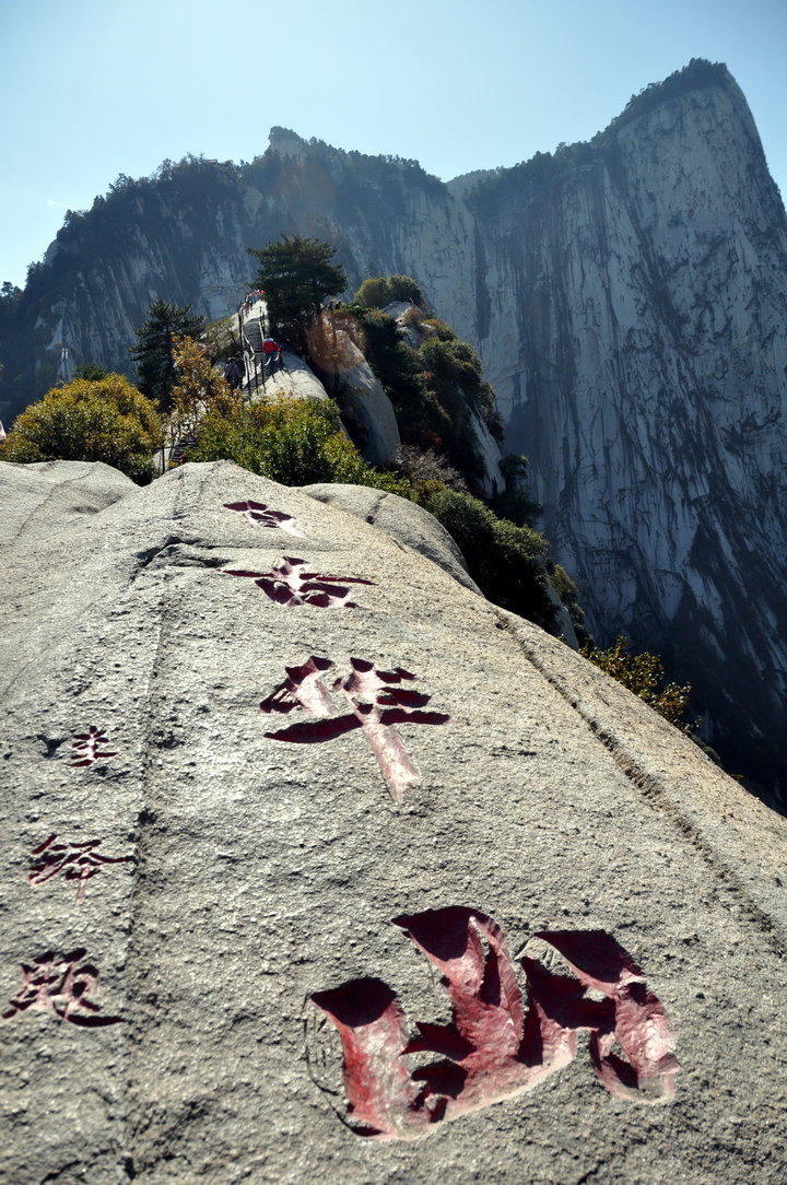 学生视频 留学申请、知识科普等