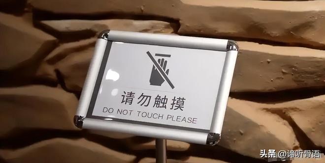 聊天记录 聊天记录如学生或日常社交者