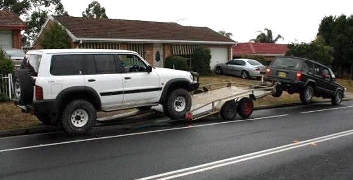 苏畅抓凤筋作品