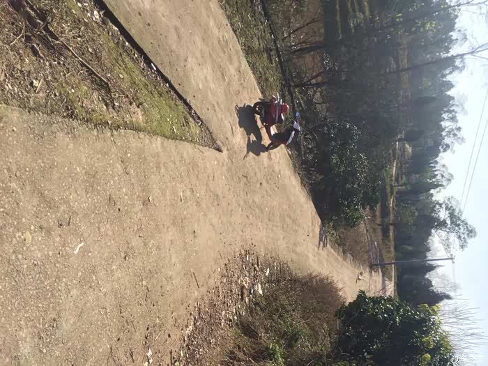 苏畅抓凤筋作品 其独特价值需进一步清晰传达