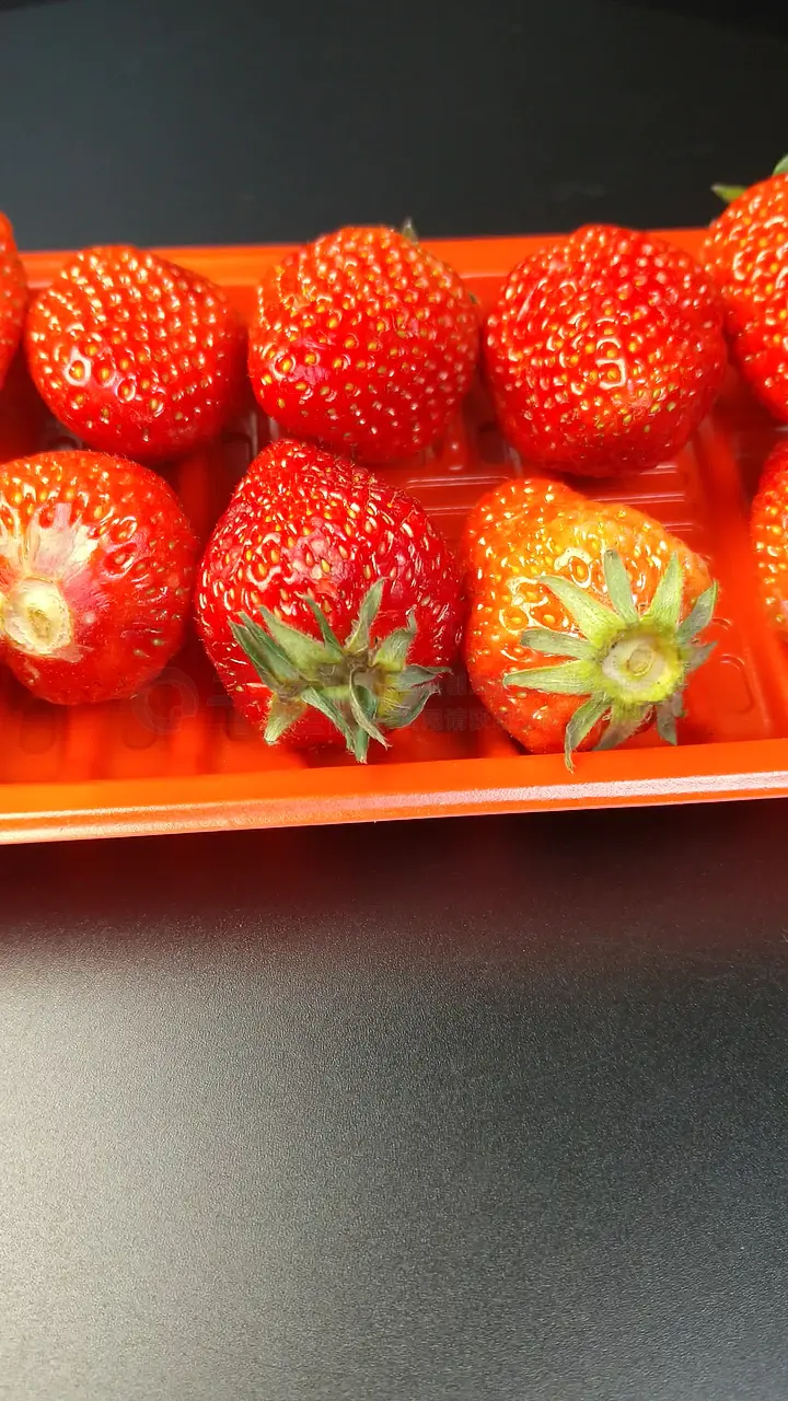 红桃影视大全 免费版本有少量贴片广告