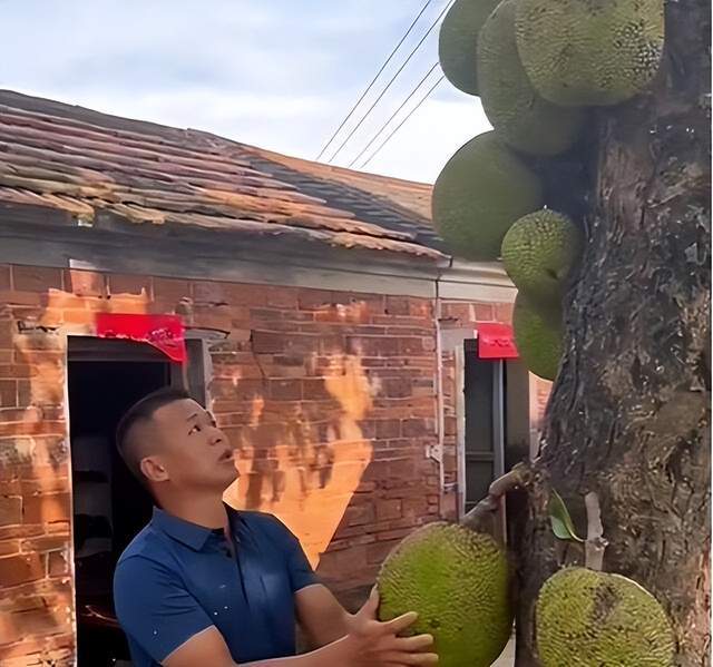 缘觉影视 缘觉影视不建议使用