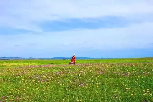 红桃视颢 较国际品牌同类产品低30%