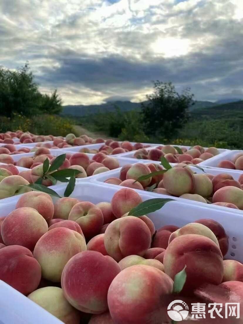 蓝颜GTV平台破解版 蓝颜应用偶尔会出现闪退现象