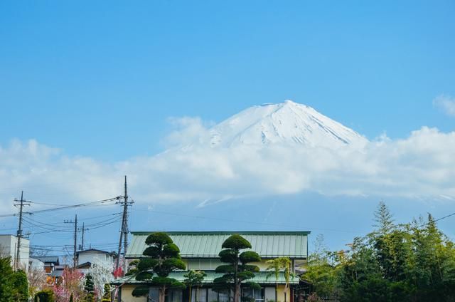 黑桃电视台 小说 黑桃买家总会收到货物