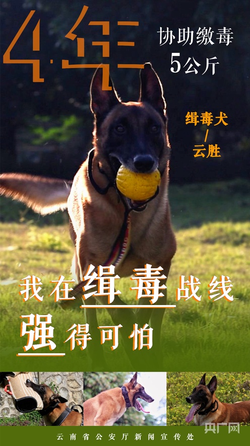 精品人妻一区二区三区视频53 容易引起观众的人妻共鸣