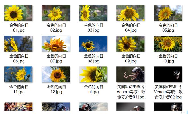 中国最漂亮的女生