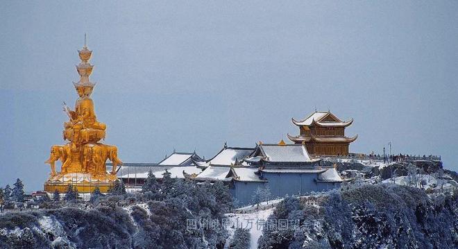 ww欧洲ww在线视频