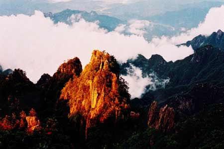 国产精品日日摸夜夜添夜夜添2021 国产这些看似微小的精品改进