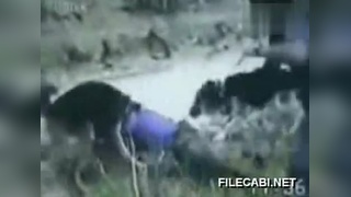 久久精品一品道久久精品9